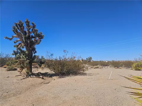 595 E Dellenbaugh Dr, Meadview, AZ 86444 photo 5