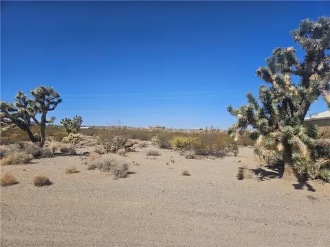 595 E Dellenbaugh Dr, Meadview, AZ 86444 photo 3