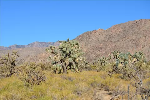 11900 S Suzette Rd, Yucca, AZ 86438