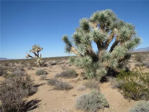 00 Red Cloud Dr, Yucca, AZ 86438