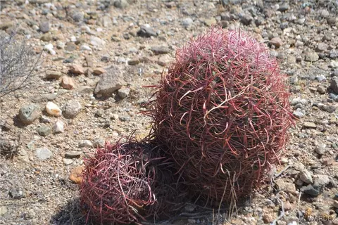 D4 Rose Well, Yucca, AZ 86438 photo 11