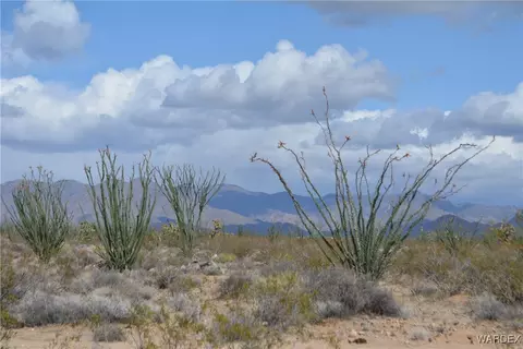 D4 Rose Well, Yucca, AZ 86438 photo 20