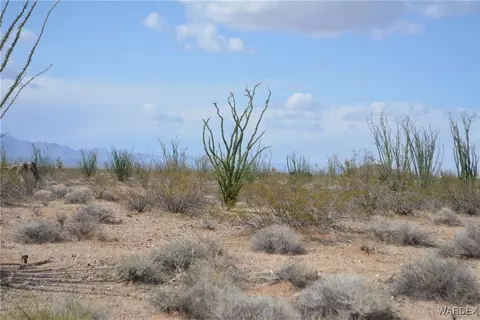 D4 Rose Well, Yucca, AZ 86438 photo 9