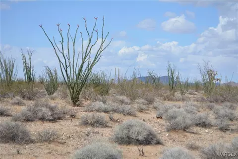 D4 Rose Well, Yucca, AZ 86438 photo 13