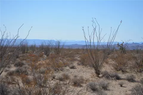 D4 Rose Well, Yucca, AZ 86438 photo 64