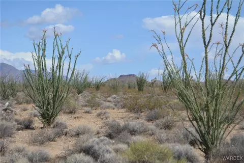 D4 Rose Well, Yucca, AZ 86438 photo 57