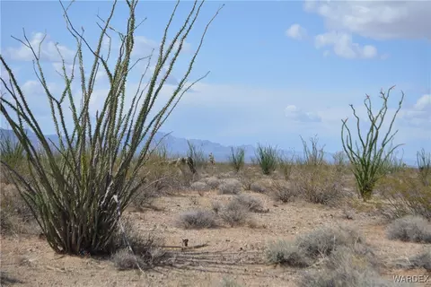 D4 Rose Well, Yucca, AZ 86438 photo 8