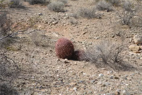 D4 Rose Well, Yucca, AZ 86438 photo 26
