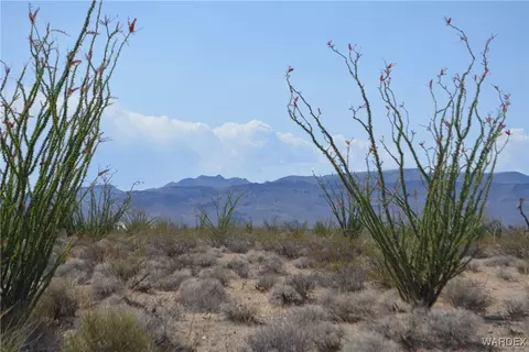 D4 Rose Well, Yucca, AZ 86438 photo 3