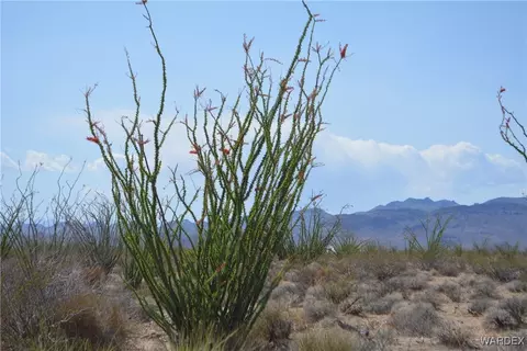 D4 Rose Well, Yucca, AZ 86438 photo 2