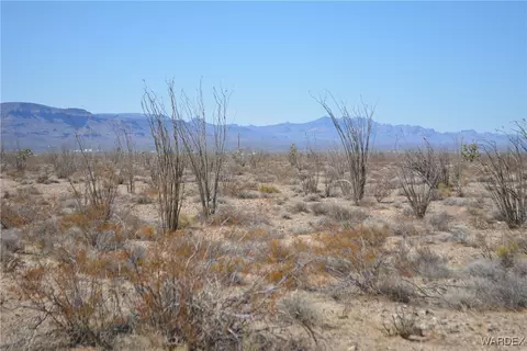 D4 Rose Well, Yucca, AZ 86438 photo 69