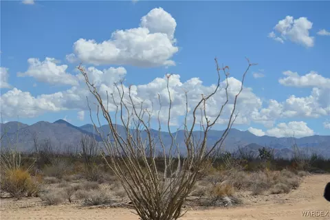D4 Rose Well, Yucca, AZ 86438 photo 90