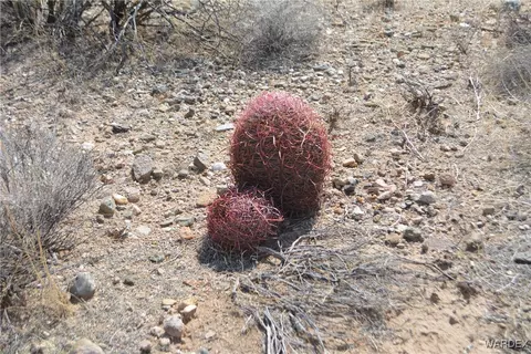 D4 Rose Well, Yucca, AZ 86438 photo 10