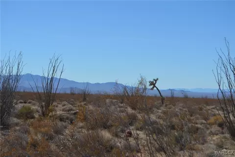 D4 Rose Well, Yucca, AZ 86438 photo 36