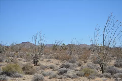 D4 Rose Well, Yucca, AZ 86438 photo 81