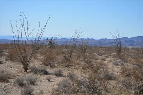 D4 Rose Well, Yucca, AZ 86438 photo 65