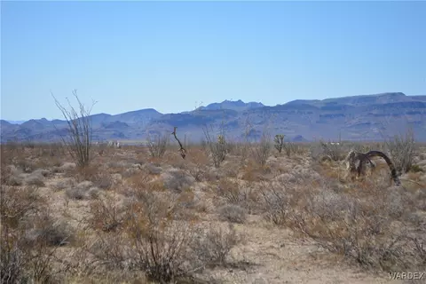 D4 Rose Well, Yucca, AZ 86438 photo 66
