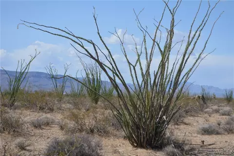 D4 Rose Well, Yucca, AZ 86438 photo 6