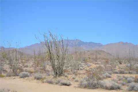 D4 Rose Well, Yucca, AZ 86438 photo 75