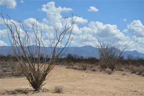 D4 Rose Well, Yucca, AZ 86438 photo 86