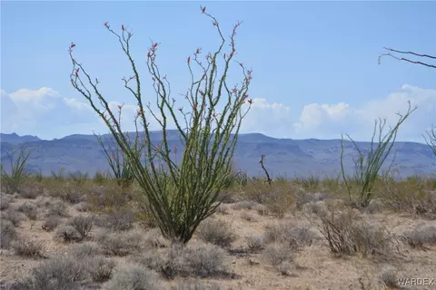 D4 Rose Well, Yucca, AZ 86438 photo 4