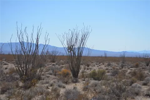 D4 Rose Well, Yucca, AZ 86438 photo 61