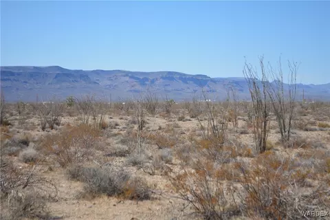 D4 Rose Well, Yucca, AZ 86438 photo 68