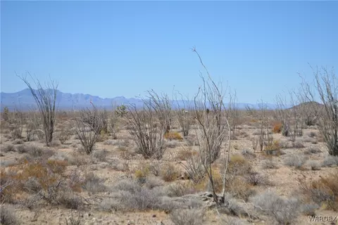 D4 Rose Well, Yucca, AZ 86438 photo 70