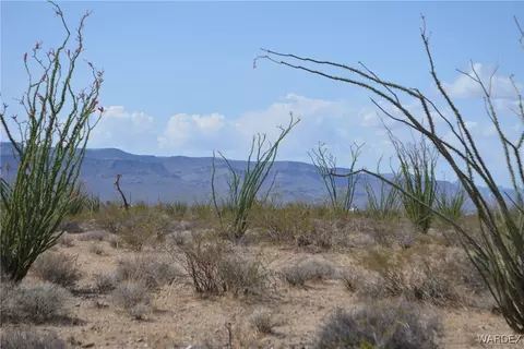 D4 Rose Well, Yucca, AZ 86438 photo 5