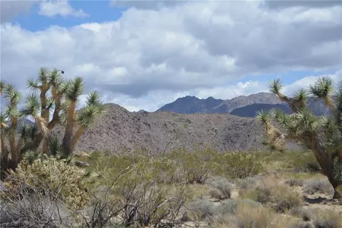 11869 S Dateland Rd, Yucca, AZ 86438