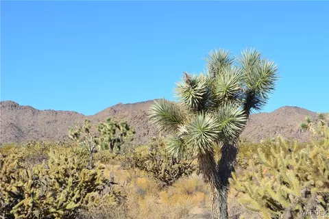 11900 S Alan Rd, Yucca, AZ 86438