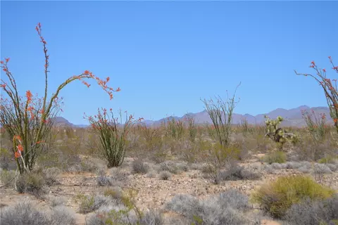 245-24 S 169 S Red Lake Rd, Yucca, AZ 86438