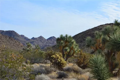 11869 S Central Rd, Yucca, AZ 86438