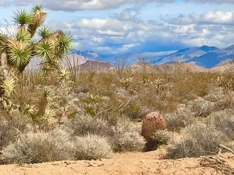 3240 S Wild Bill Rd, Yucca, AZ 86438