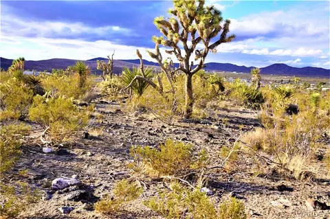 lot494 N Maywood Dr, Dolan Springs, AZ 86441