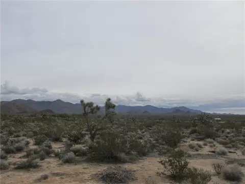245-06 S 003f S Cal Rd, Yucca, AZ 86438 photo 3