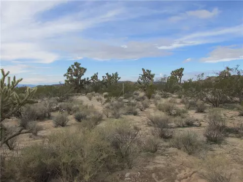 245-06 S 003f S Cal Rd, Yucca, AZ 86438 photo 10