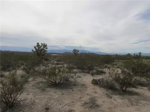 245-06 S 003f S Cal Rd, Yucca, AZ 86438 photo 12
