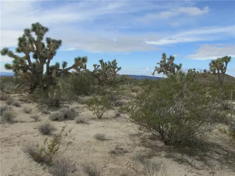 245-06 S 003f S Cal Rd, Yucca, AZ 86438 photo 11