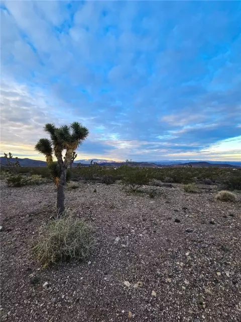 8096 W Bodega Dr, White Hills, AZ 86445