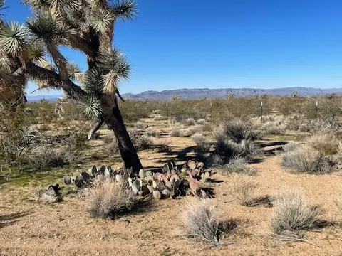 8 E Mary Dr, Yucca, AZ 86438 photo 5