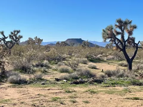 8 E Mary Dr, Yucca, AZ 86438 photo 7