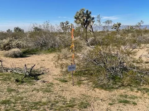 8 E Mary Dr, Yucca, AZ 86438 photo 23