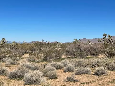 8 E Mary Dr, Yucca, AZ 86438 photo 6