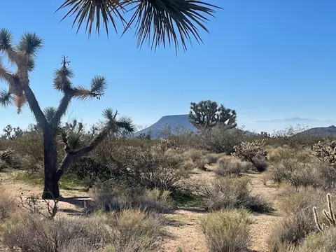 8 E Mary Dr, Yucca, AZ 86438 photo 25