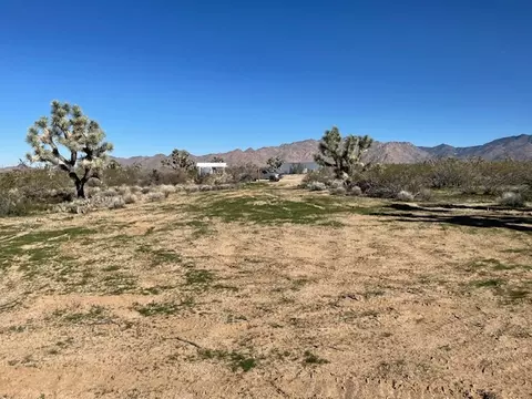 8 E Mary Dr, Yucca, AZ 86438 photo 8