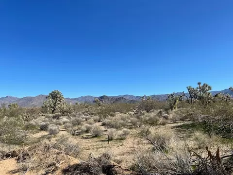 8 E Mary Dr, Yucca, AZ 86438 photo 20