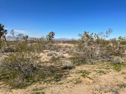8 E Mary Dr, Yucca, AZ 86438 photo 22