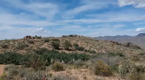 80 N Acres N Hidden Springs Rd, Hackberry, AZ 86411 photo 14