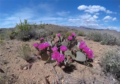 80 N Acres N Hidden Springs Rd, Hackberry, AZ 86411 photo 9